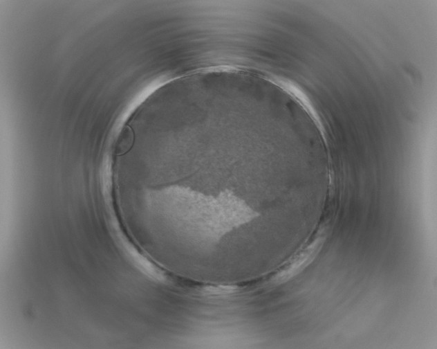 X0000113020859200909101836