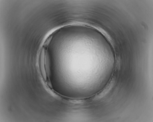 X0000113020862200909101836