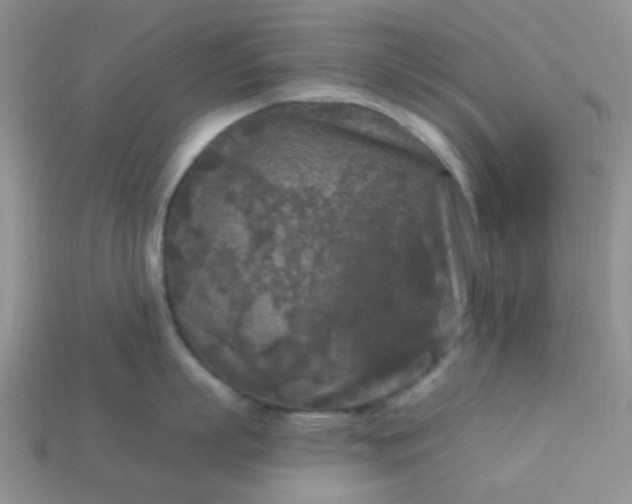 X0000113020863200909101836