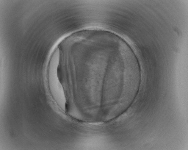 X0000113020864200909101836