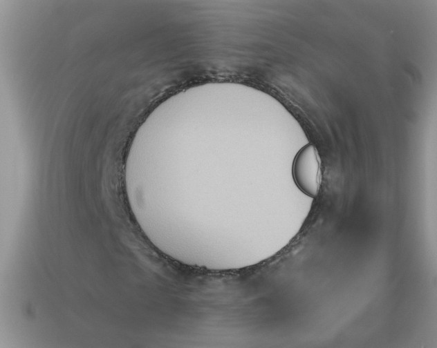X0000113020865200909101836