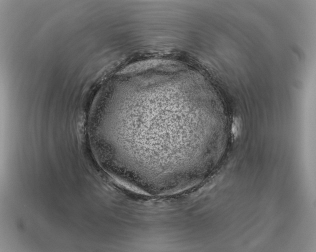 X0000113020867200909101836