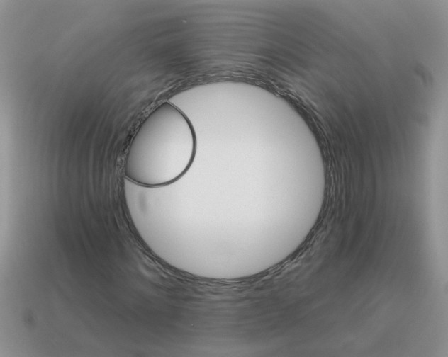 X0000113020868200909101836