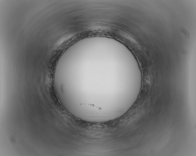 X0000113020869200909101836