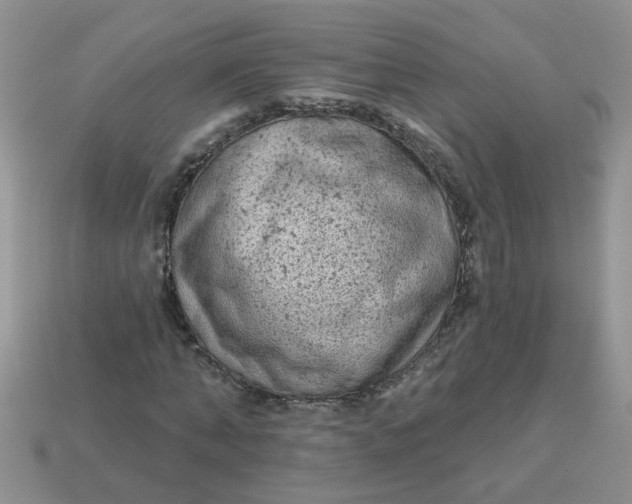 X0000113020870200909101836