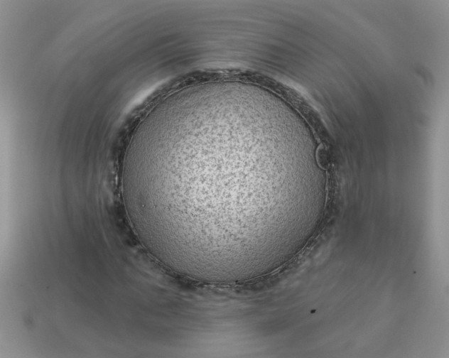 X0000113020871200909101836