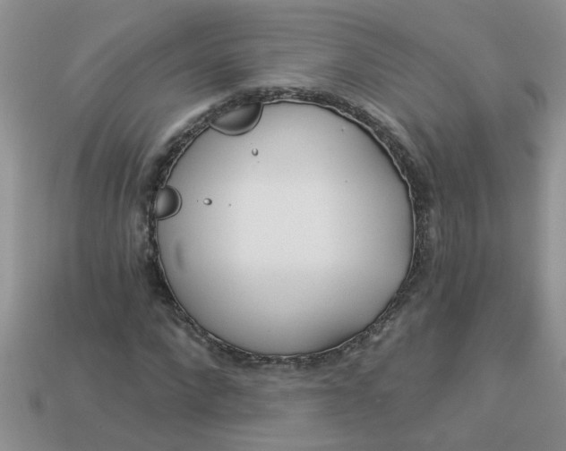 X0000113020872200909101836