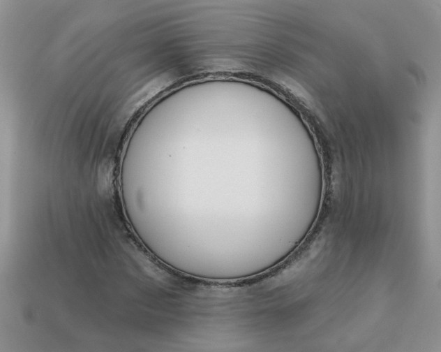 X0000113020873200909101836