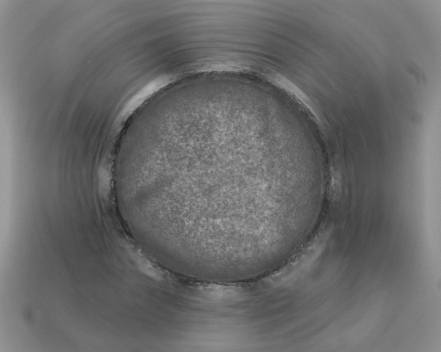 X0000113020874200909101836