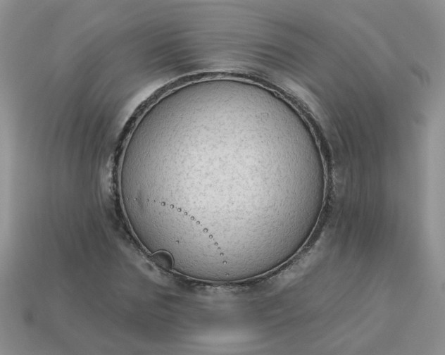 X0000113020875200909101836