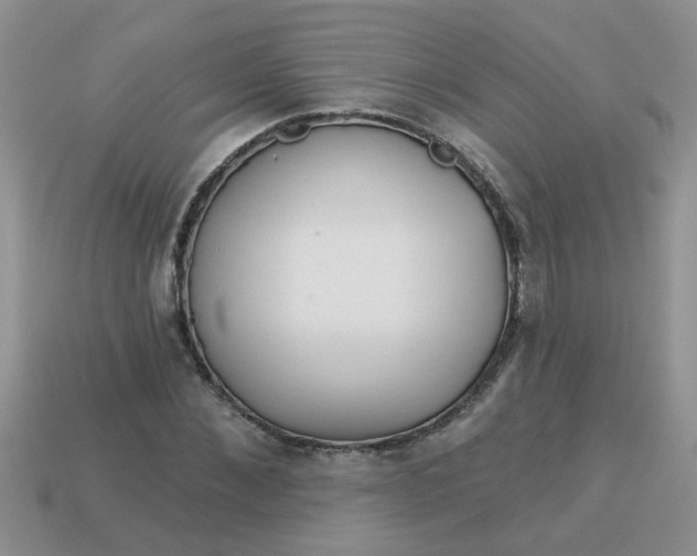 X0000113020876200909101836