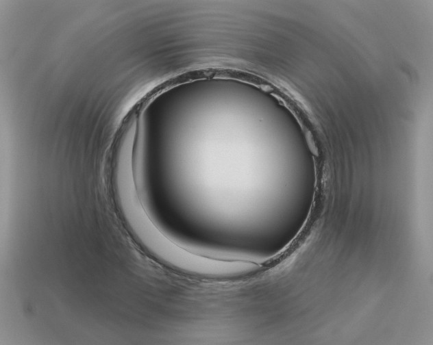 X0000113020877200909101836