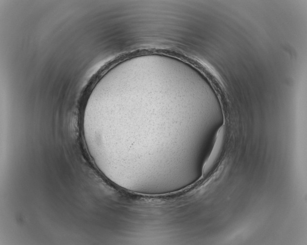 X0000113020878200909101836