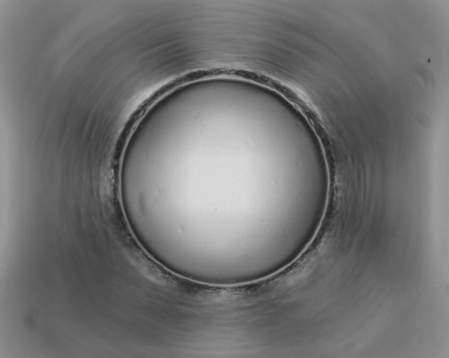 X0000113020879200909101836