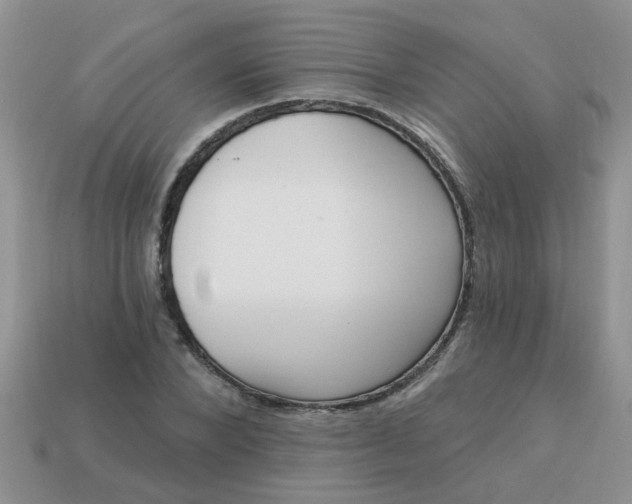 X0000113020880200909101835
