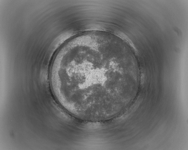 X0000113020882200909101835