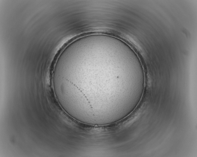X0000113020883200909101835
