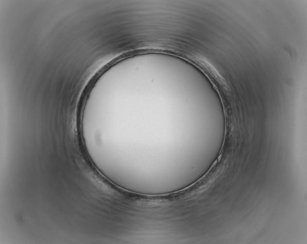 X0000113020884200909101835
