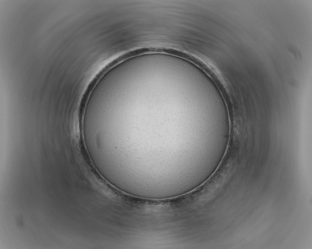 X0000113020887200909101835