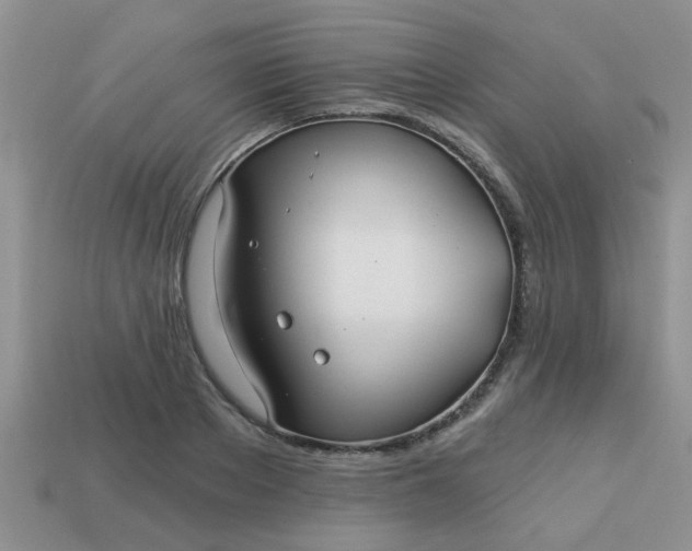 X0000113020889200909101835