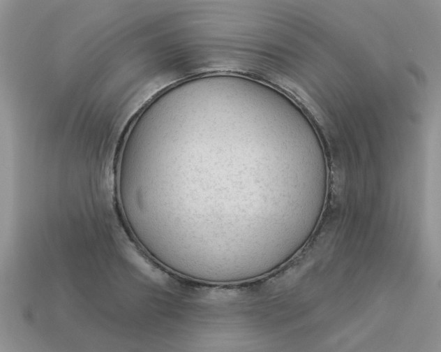 X0000113020890200909101835