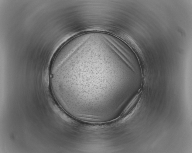 X0000113020892200909101835
