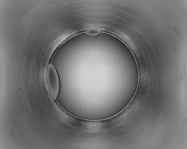 X0000113020893200909101835