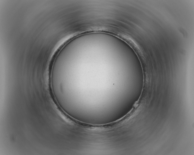 X0000113020894200909101835