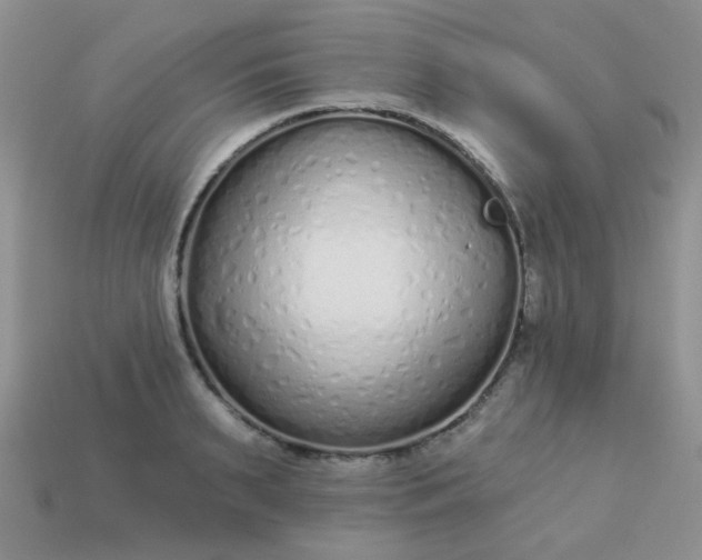 X0000113020895200909101835