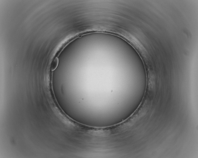X0000113020896200909101835