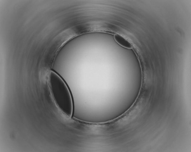 X0000113020897200909101835