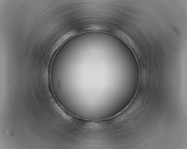 X0000113020898200909101835