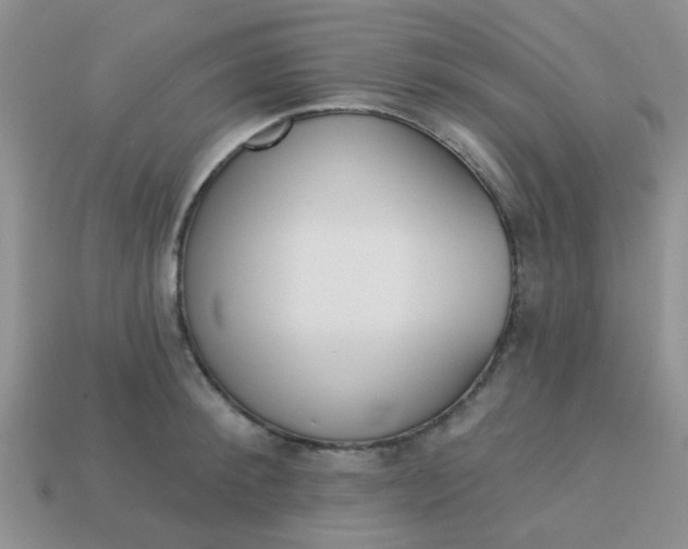 X0000113020900200909101835