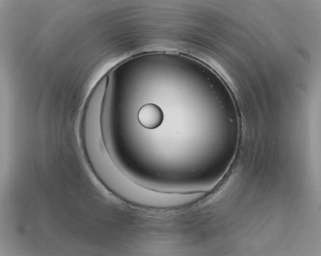 X0000113020901200909101835