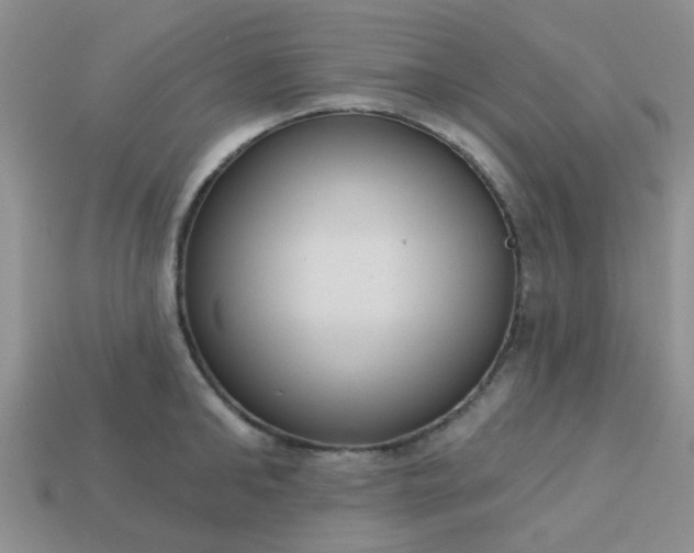 X0000113020902200909101835