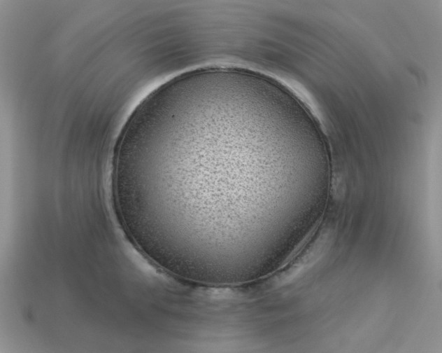 X0000113020903200909101835