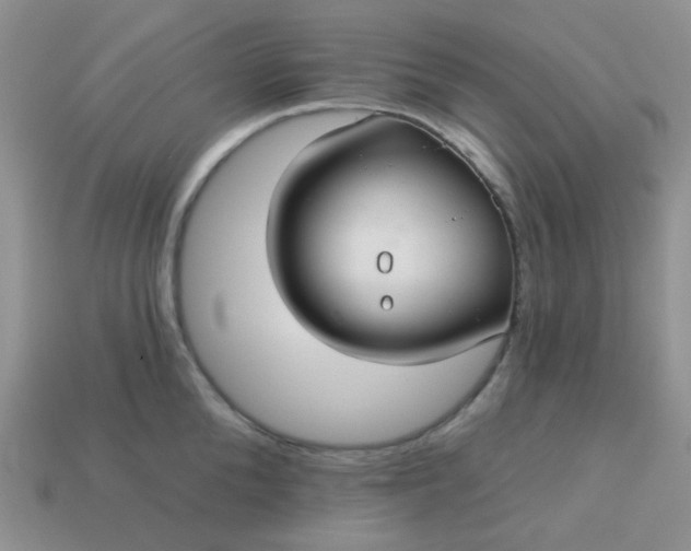 X0000113020904200909101835
