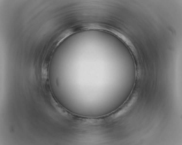 X0000113020905200909101835