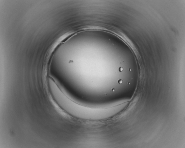 X0000113020909200909101835