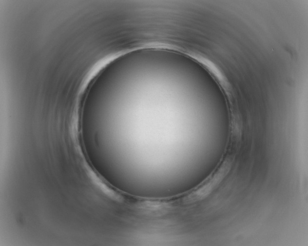 X0000113020910200909101835