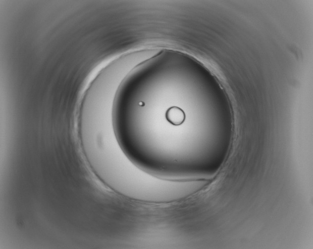 X0000113020912200909101835