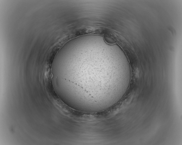 X0000113020914200909101834