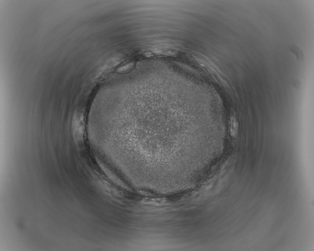 X0000113020915200909101834