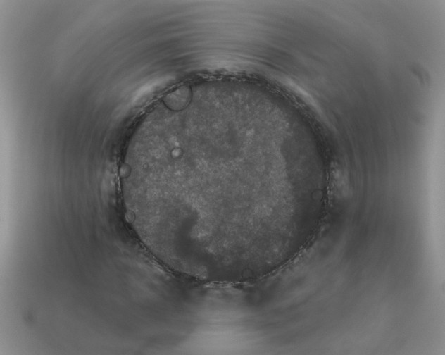 X0000113020918200909101835