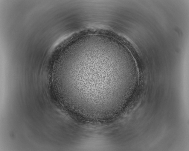 X0000113020919200909101835