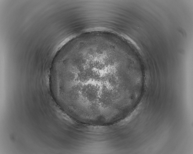 X0000113020921200909101835