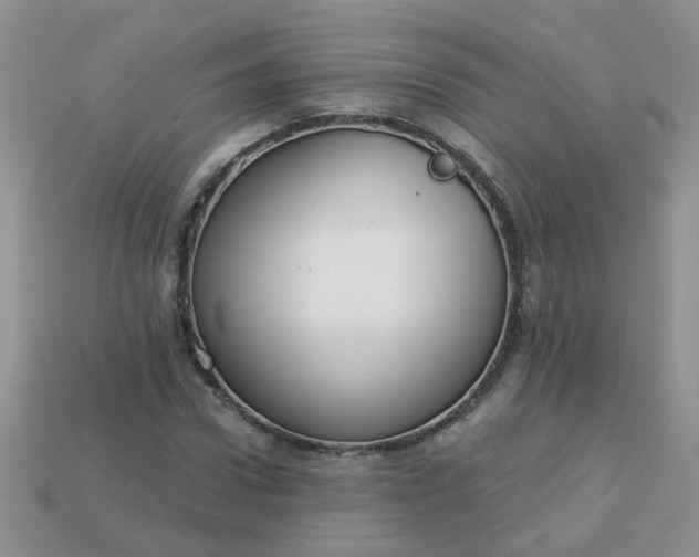 X0000113020922200909101835