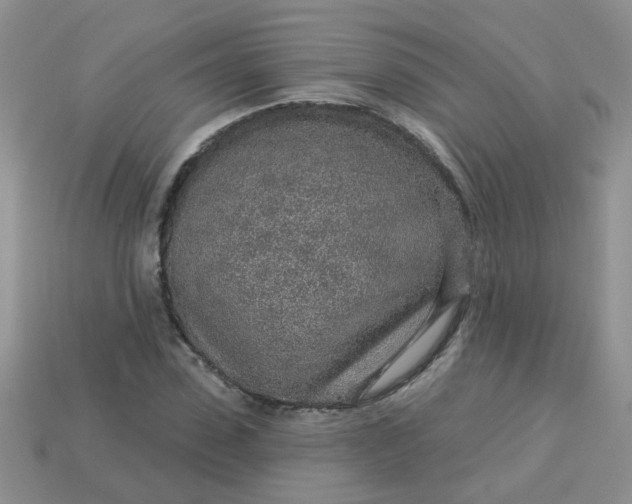 X0000113020923200909101835