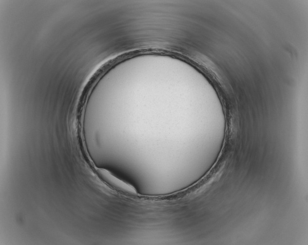 X0000113020924200909101835