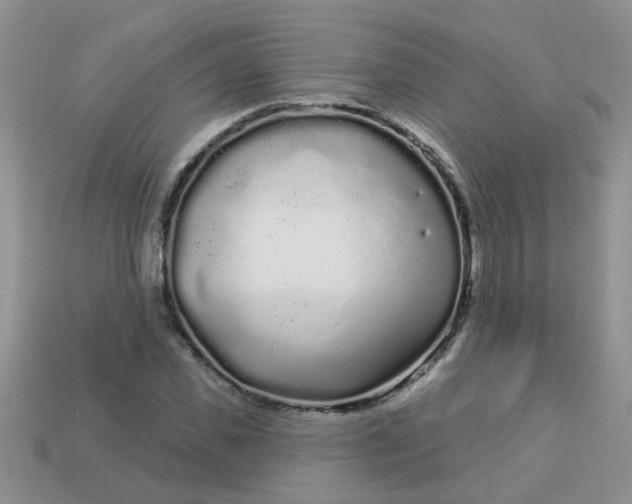 X0000113020925200909101835